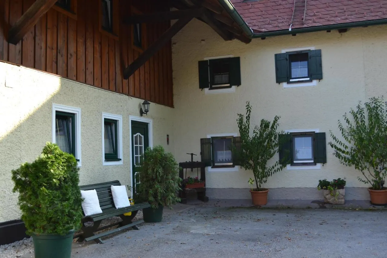 Apartment Ferienwohnung Schmiedhansl Moos Salzburg